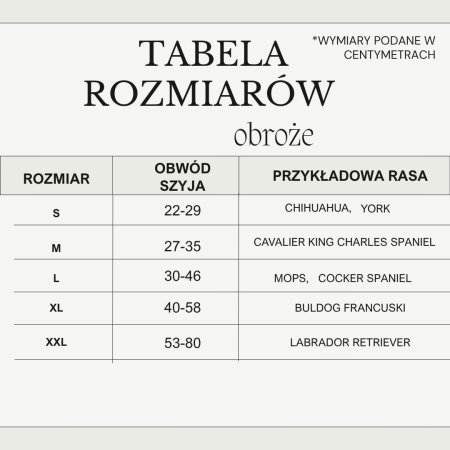 tabela poprawiona (2).png