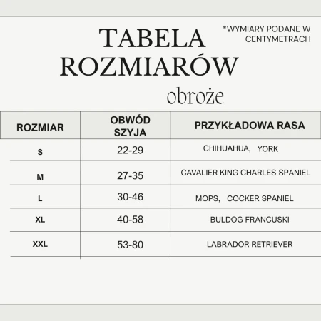 tabela poprawiona (2).png