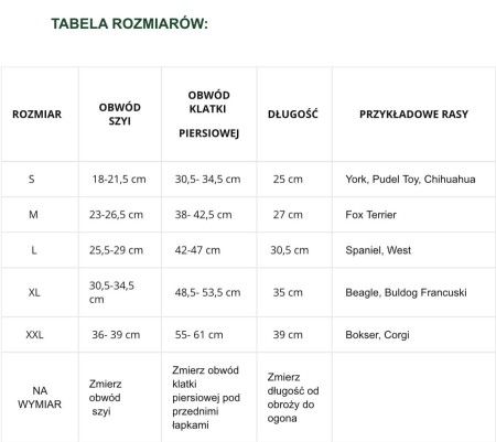 tabela rozmiarów.JPG