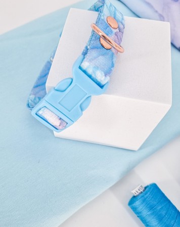 elegancki zestaw spacerowy dla psa