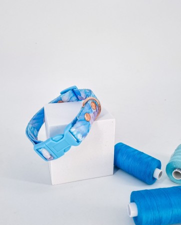 elegancki zestaw spacerowy dla psa