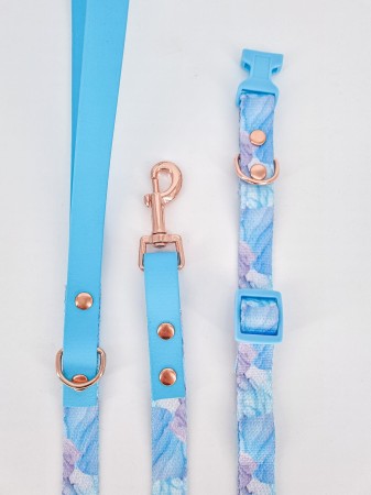 elegancki zestaw spacerowy dla psa