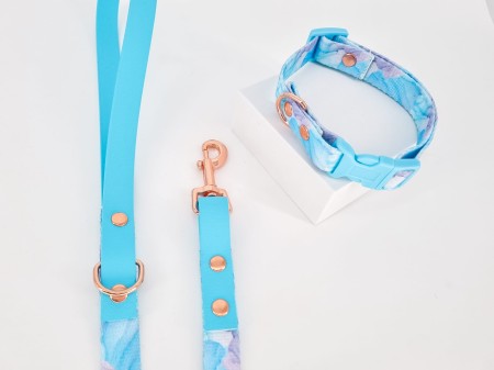 elegancki zestaw spacerowy dla psa