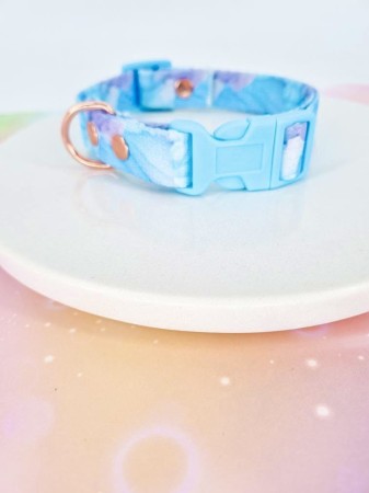 elegancki zestaw spacerowy dla psa