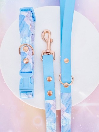 elegancki zestaw spacerowy dla psa