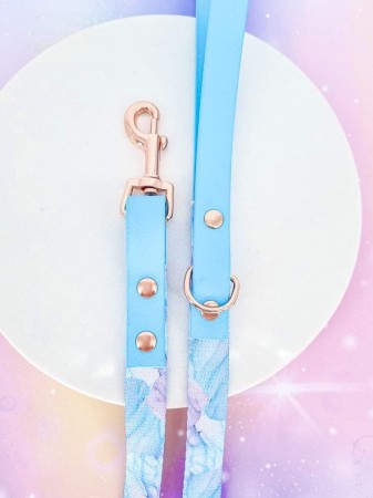 elegancki zestaw spacerowy dla psa