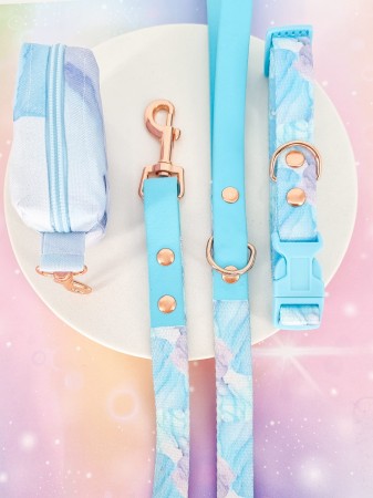 elegancki zestaw spacerowy dla psa