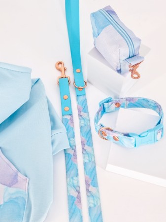 elegancki zestaw spacerowy dla psa